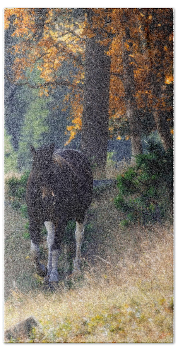 Horse Beach Towel featuring the photograph September Surrender by Amanda Smith