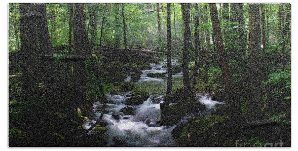 Smoky Mountains Beach Towel featuring the photograph Serene Greenbrier Area Stream by Nancy Mueller