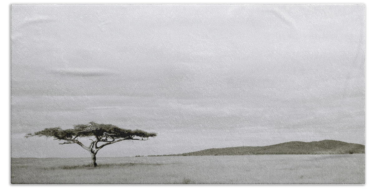 Africa Beach Towel featuring the photograph Serengeti Acacia Tree by Shaun Higson