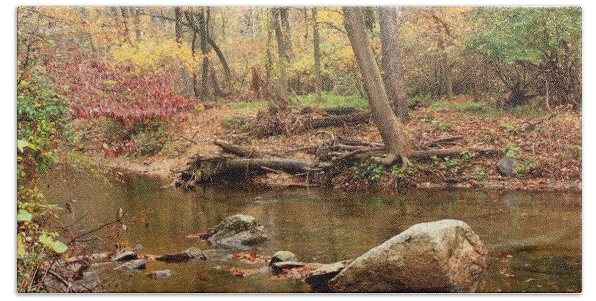 Autumn Scene Beach Towel featuring the photograph Shades of Fall in Ridley Park by Patrice Zinck