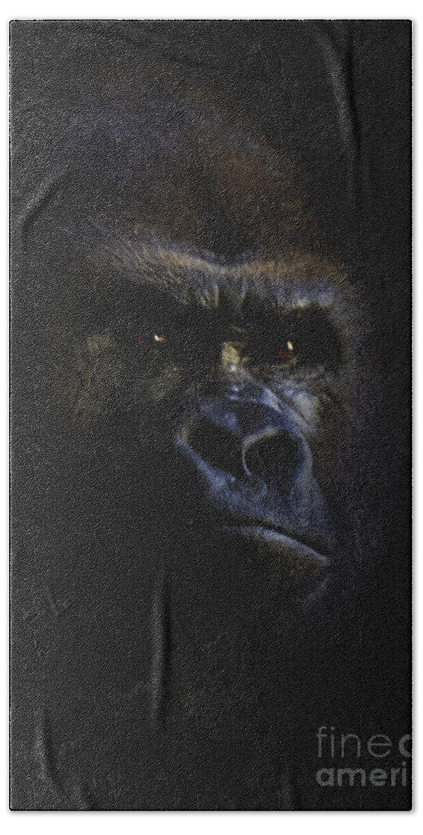 Primates Beach Sheet featuring the photograph Shadow Series five by Ken Frischkorn