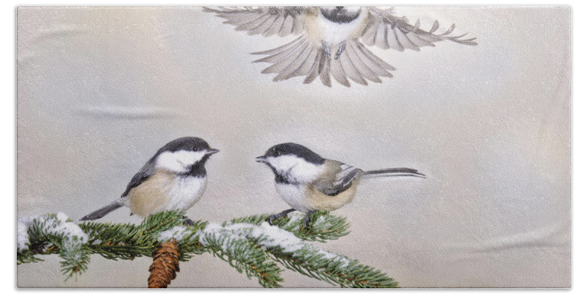 Chickadees Beach Towel featuring the photograph She Think's She's a Drone by Peg Runyan