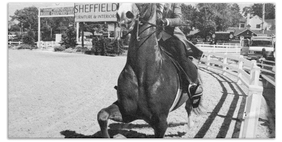 Horse Beach Towel featuring the photograph Sheffield by Alice Gipson