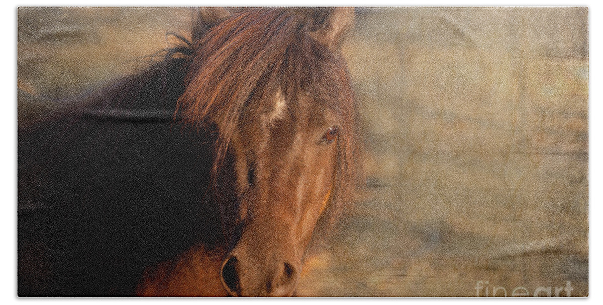 Horse Photography Beach Sheet featuring the photograph Shetland Pony at Sunset by Michelle Wrighton
