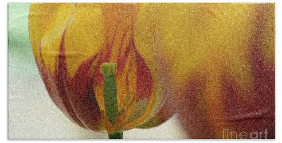 Tulip Beach Towel featuring the photograph Side of the Tulip by James B Toy