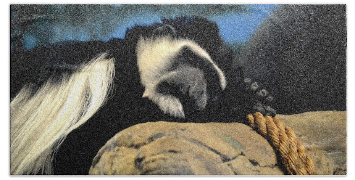 Monkey Beach Towel featuring the photograph Siesta by Deena Stoddard