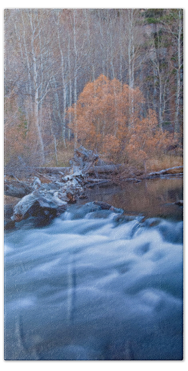 Nature Beach Towel featuring the photograph Silence Of The Fall by Jonathan Nguyen