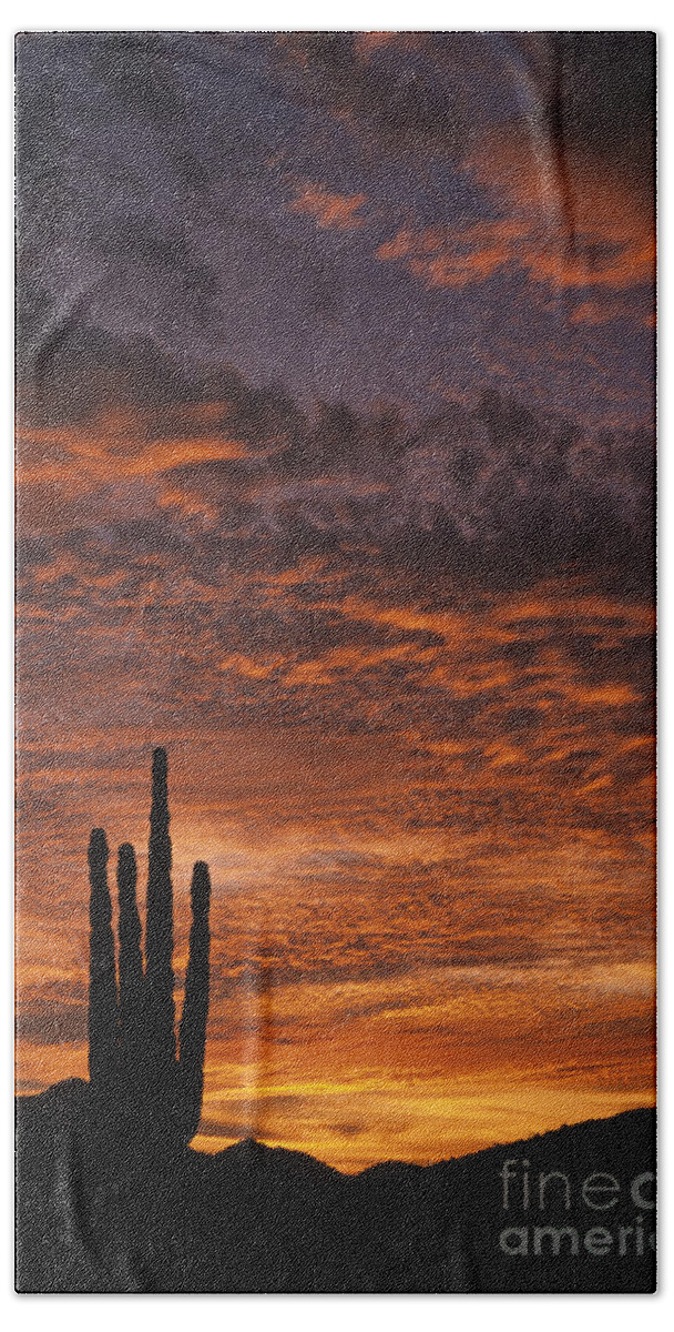 American Southwest Beach Towel featuring the photograph Silhouetted saguaro cactus sunset at dusk with dramatic clouds by Jim Corwin