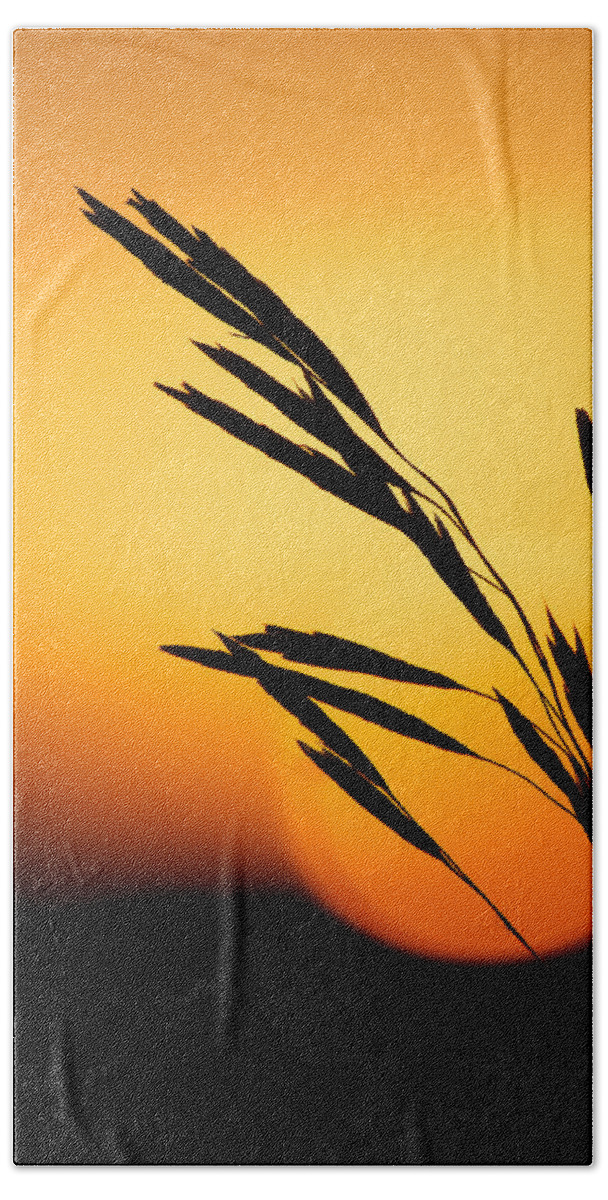 Sunset Beach Towel featuring the photograph Simply Natural by Penny Meyers