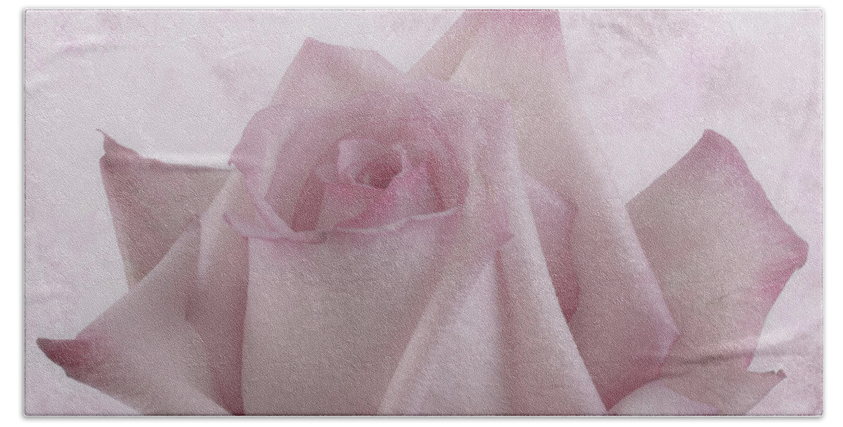 Pink Rose Beach Sheet featuring the photograph Single Pink Rose Blossom by Sandra Foster