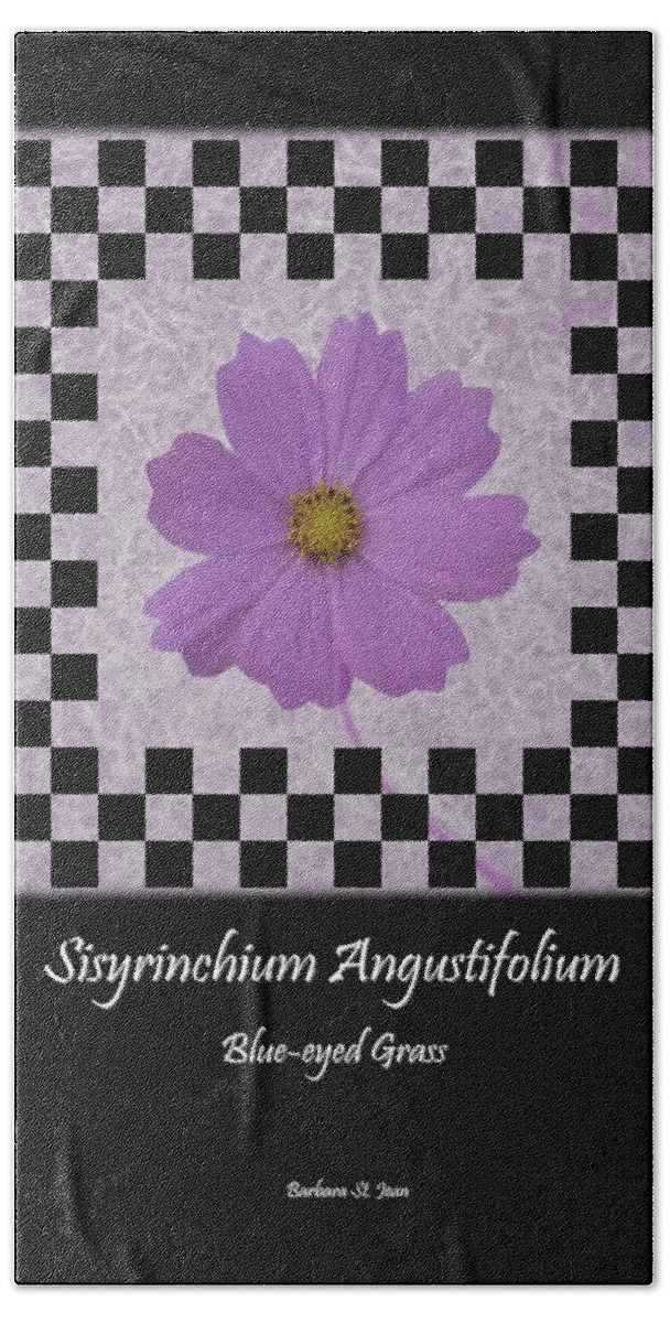 Checkerboard Beach Towel featuring the digital art Sisyrinchium wild flower BC poster 1 by Barbara St Jean