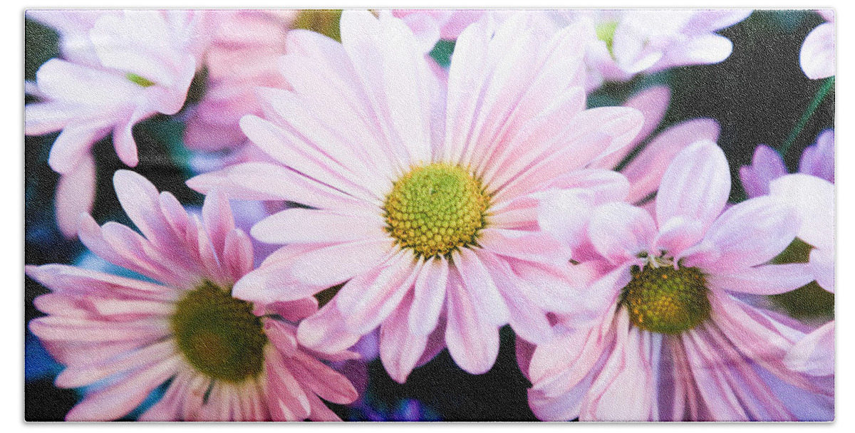 Chrysanthemum Beach Towel featuring the photograph Smiling at You by Milena Ilieva