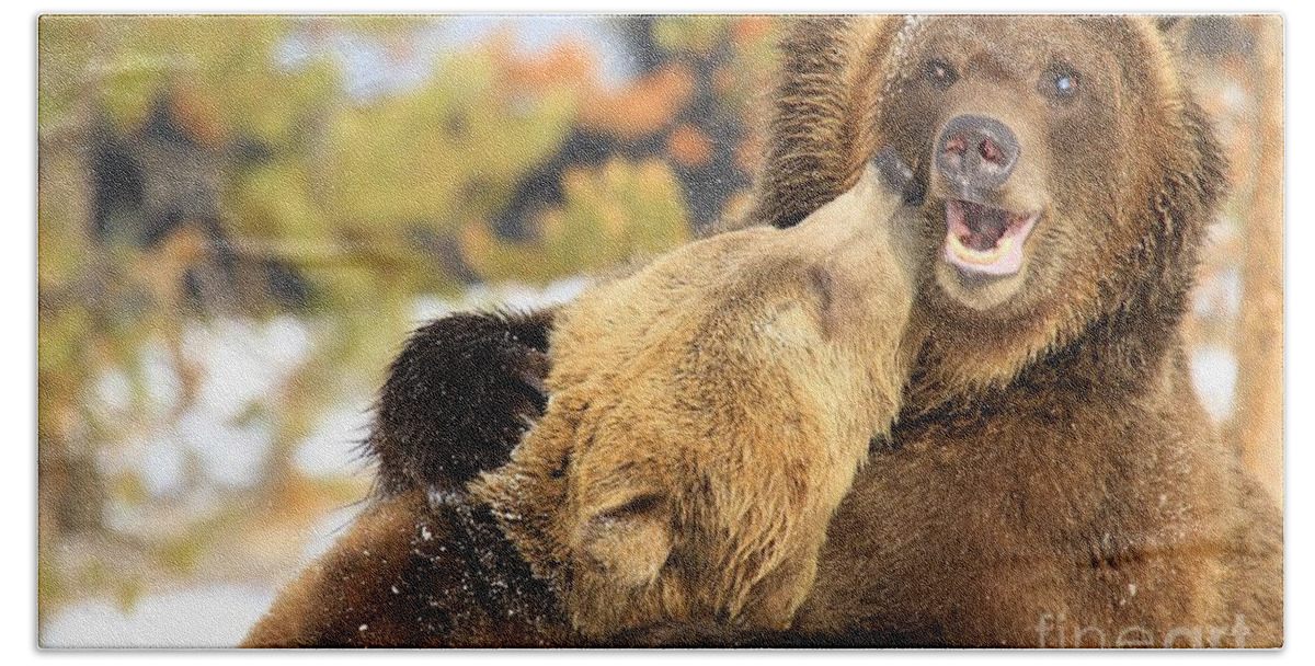 Grizzly Bear Beach Towel featuring the photograph Smooch by Adam Jewell