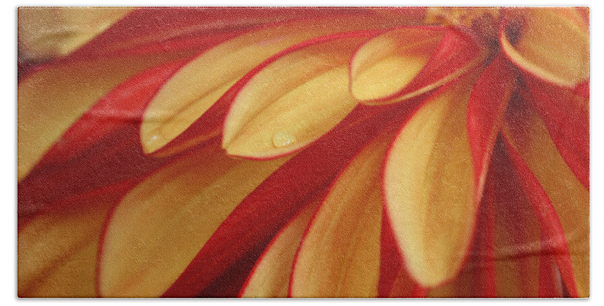 Dahlia Beach Sheet featuring the photograph Smooth As Butter by Connie Handscomb