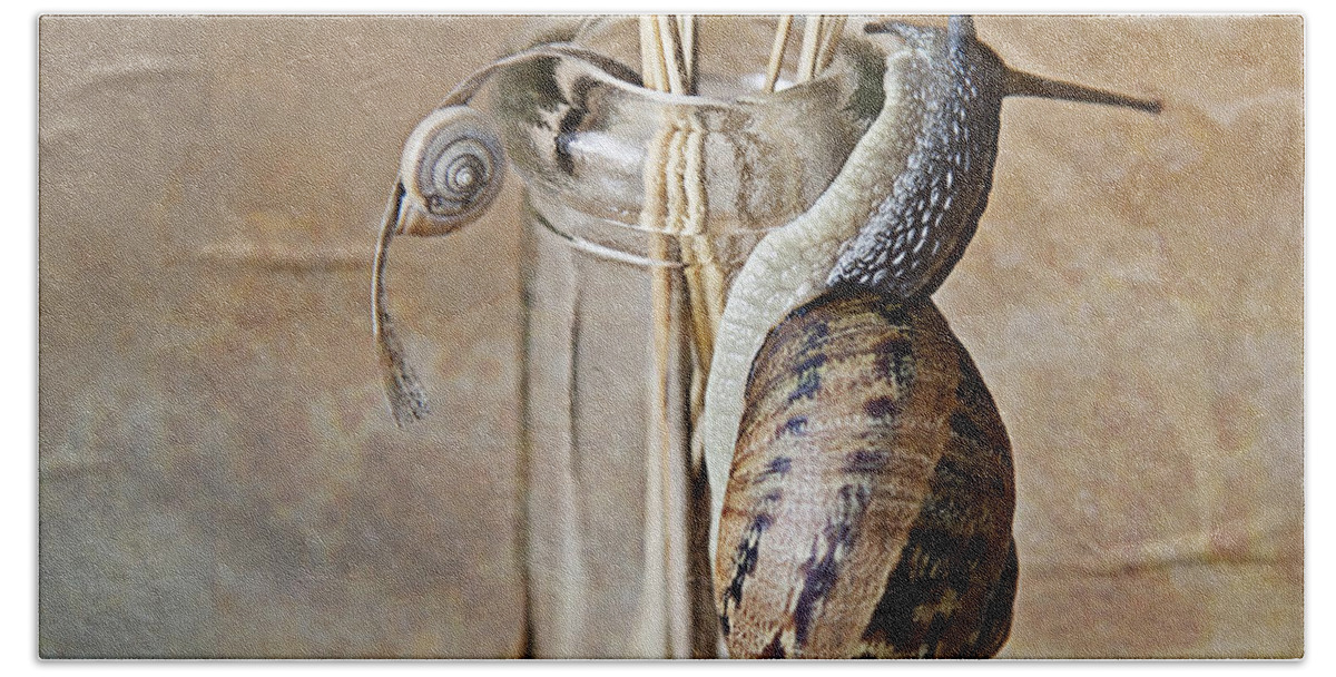 Snail Beach Sheet featuring the photograph Snails by Nailia Schwarz