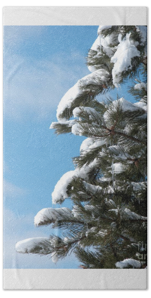 Snow Beach Towel featuring the photograph Snow-Clad Pine by Ann Horn