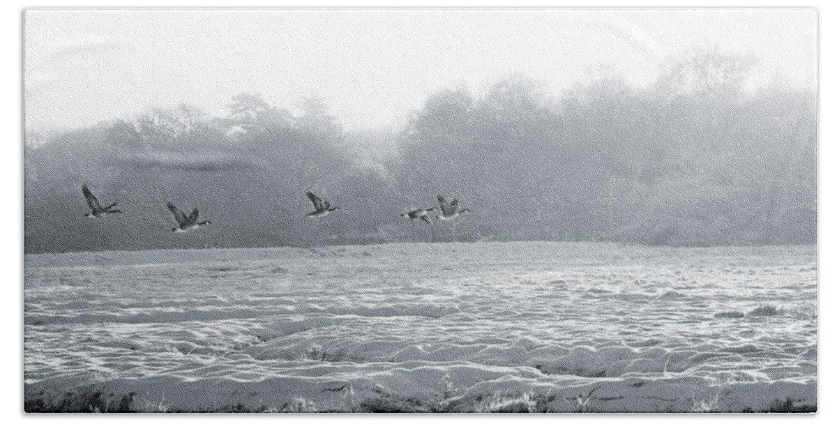 Landscape Beach Towel featuring the photograph Snow and Geese by David Davies