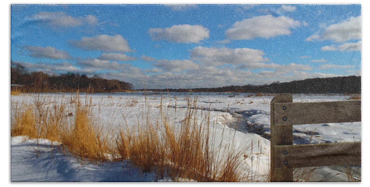Snow Beach Towel featuring the photograph Snow Marsh by Dianne Cowen Cape Cod Photography