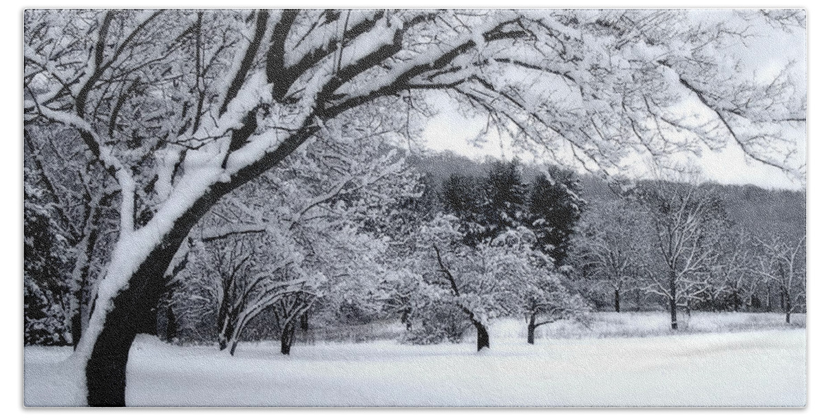 Snow Beach Towel featuring the digital art Snowfall by Bruce Rolff