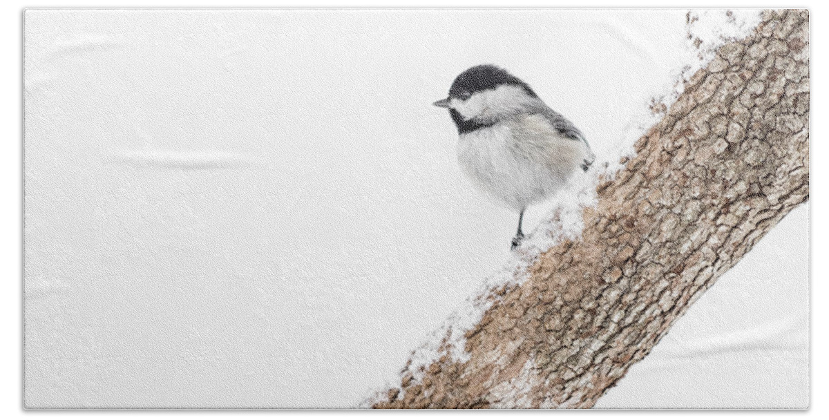 K-30 Beach Towel featuring the photograph Snowy Chickadee by Lori Coleman