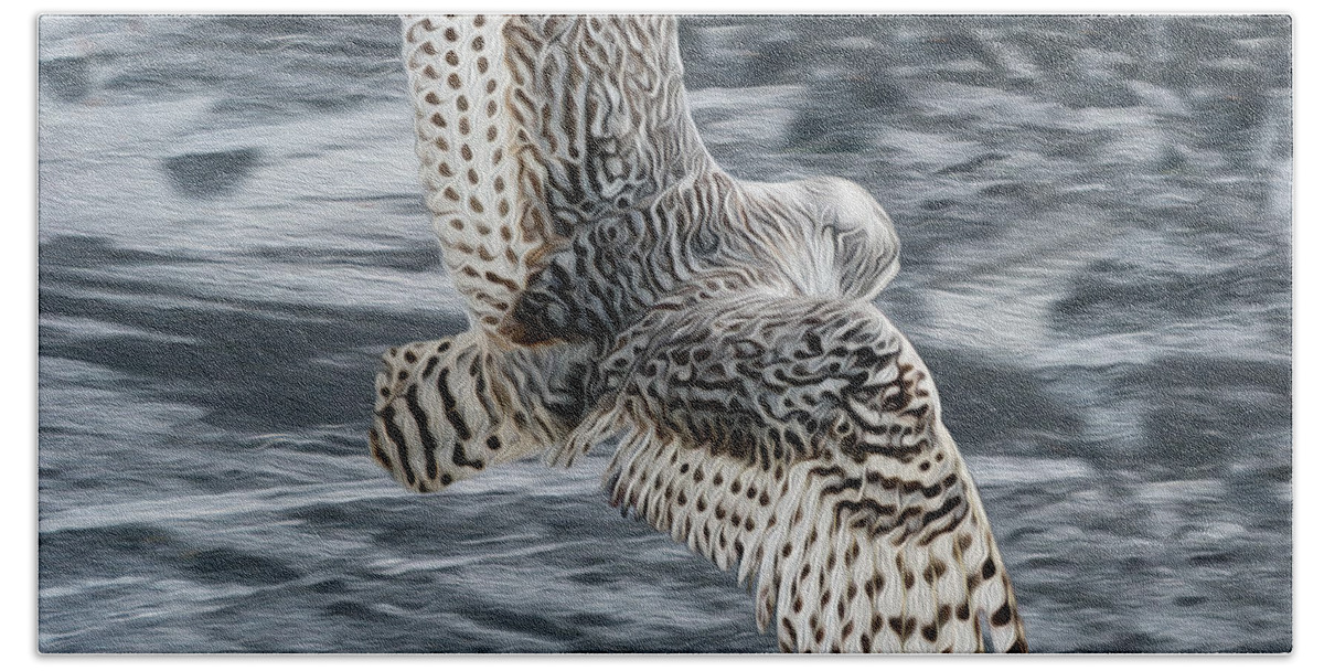 Snowy Owl Beach Sheet featuring the photograph Snowy Owl wingspan by Tracy Winter