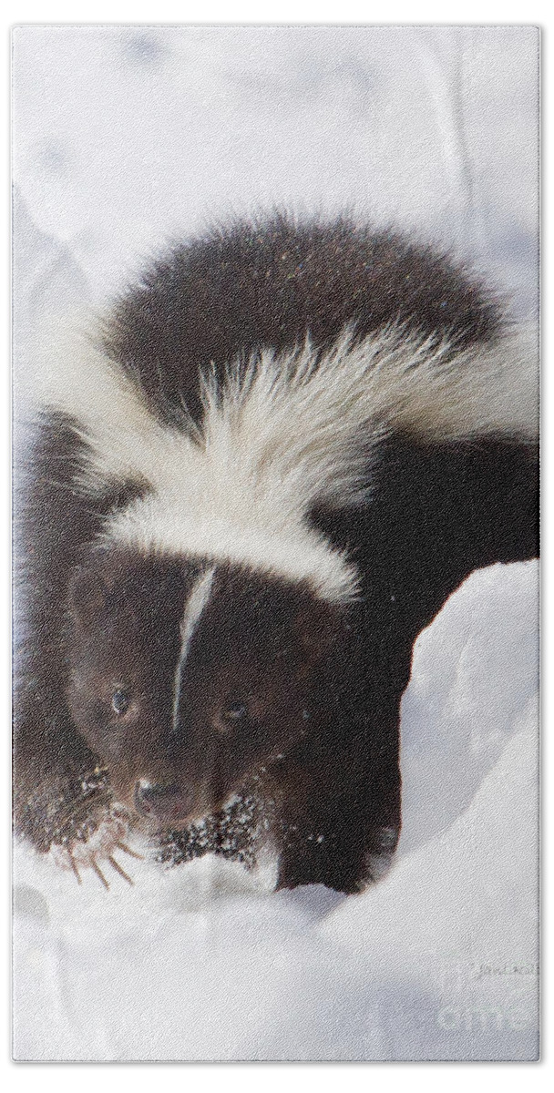 Skunk Beach Sheet featuring the photograph Snowy Walk by Jan Killian