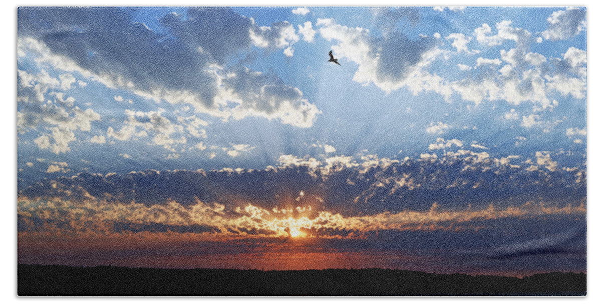 Day Island Beach Towel featuring the photograph Soaring Sunset by Anthony Baatz