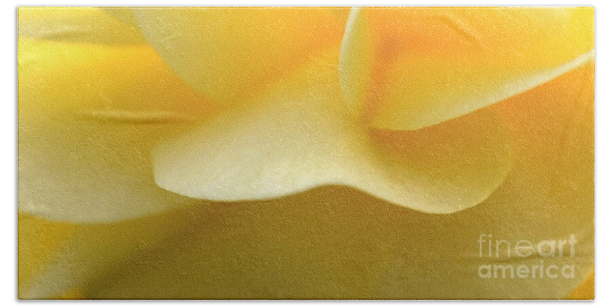Leaf Beach Towel featuring the photograph Soft Yellow by Tap On Photo