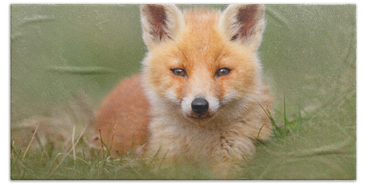 Camouflage Beach Towel featuring the photograph SoftFox -Young Fox Kit Lying in the Grass by Roeselien Raimond