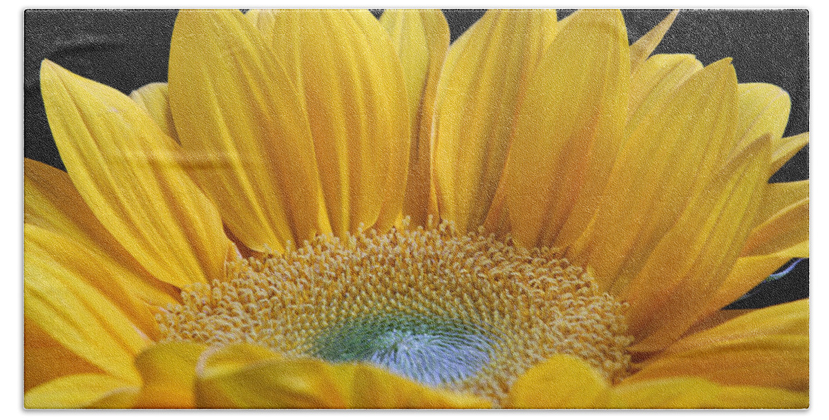 Sunflower Beach Towel featuring the photograph Sometimes I Get a Good Feeling by Juergen Roth