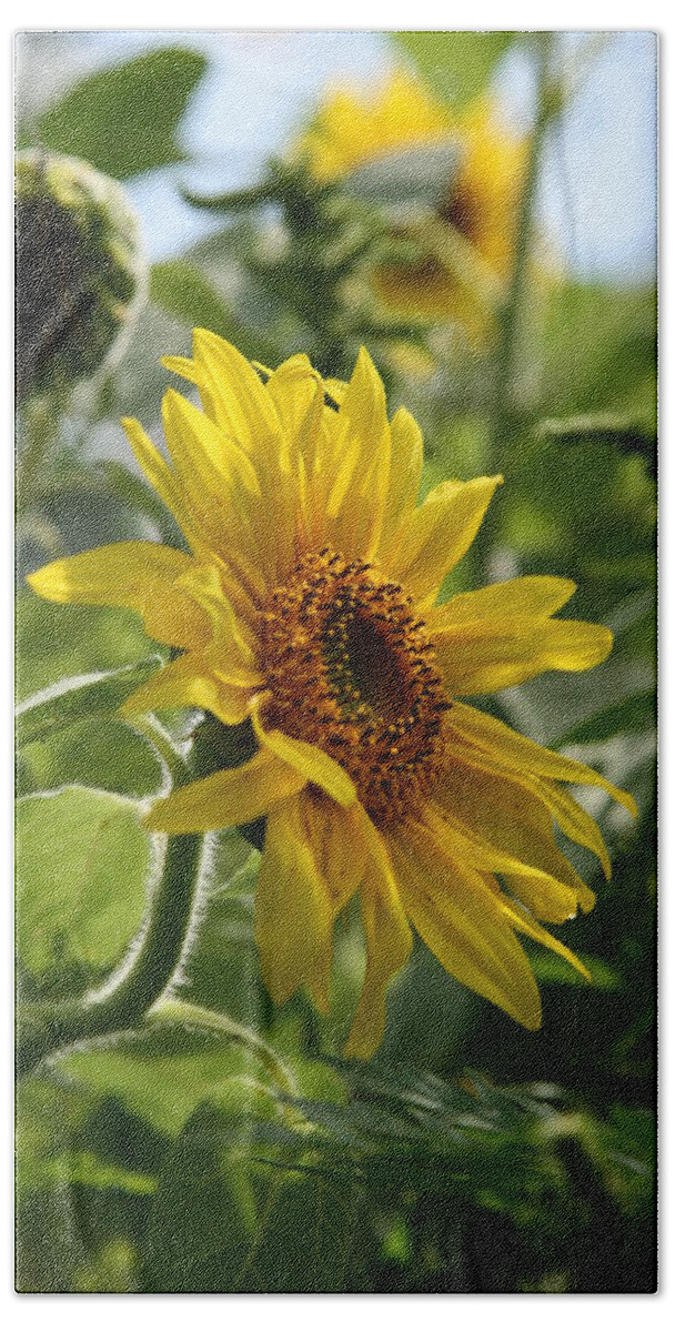 Sun Flower Beach Towel featuring the photograph Soulshine No.2 by Neal Eslinger