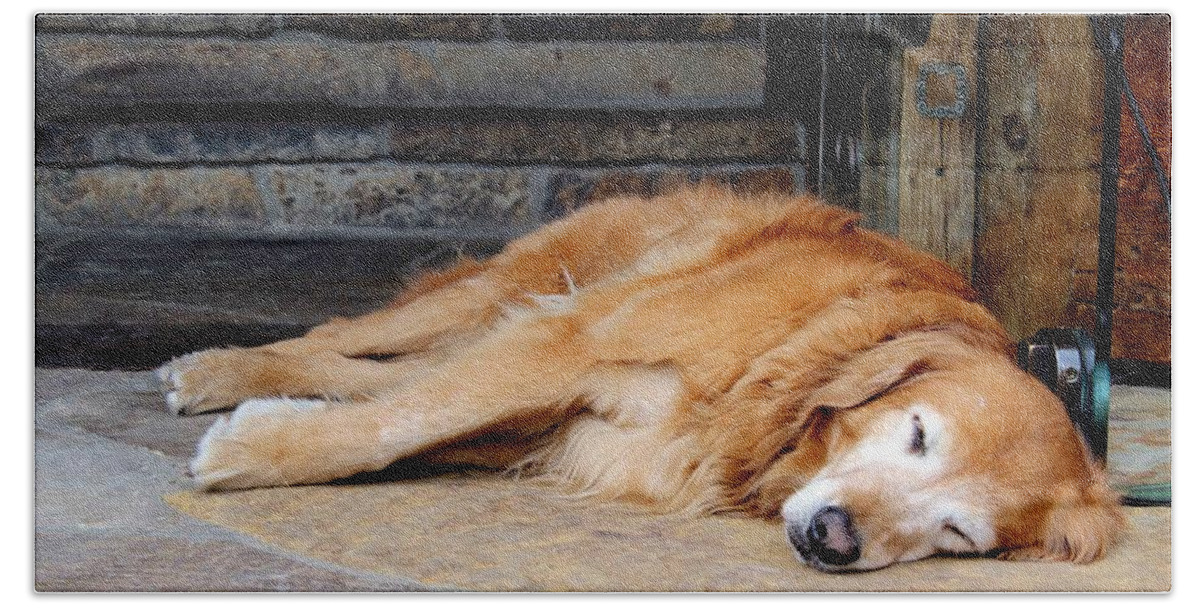 Dog Photo Beach Sheet featuring the photograph Sound Asleep by Fiona Kennard
