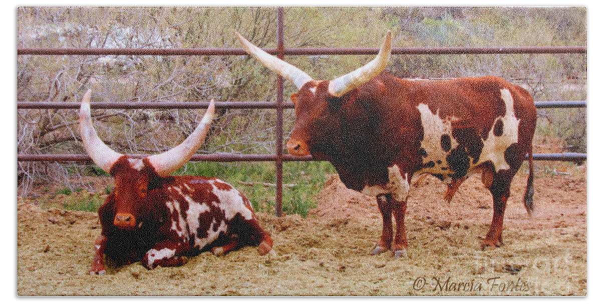Arizona Beach Towel featuring the photograph Southwest Long Horn Bulls by Tap On Photo