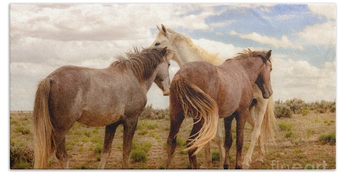 Southwest Wild Horses With White Stallion On Navajo Indian Reservation In New Mexico Beach Towel featuring the photograph Wild Horses With White Stallion On Navajo Indian Reservation by Jerry Cowart