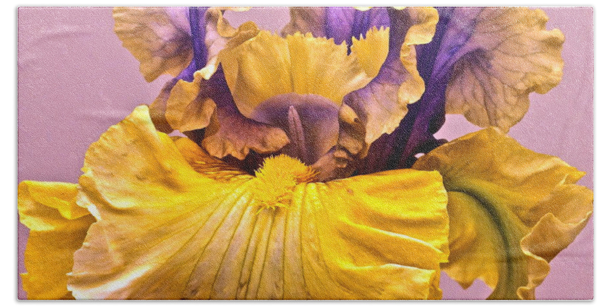 Iris Macro Beach Towel featuring the photograph Spectacular Iris Close Up by Byron Varvarigos