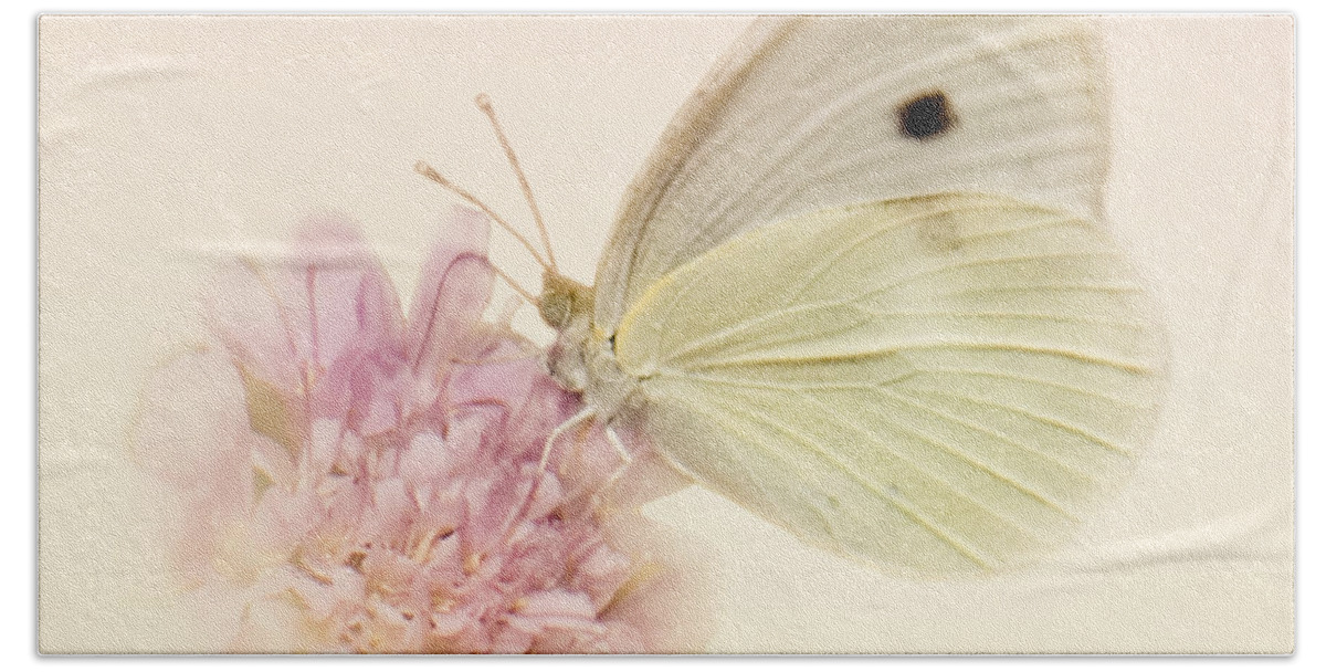 Cabbage White Butterflies Beach Towel featuring the photograph Spellbinder by Betty LaRue
