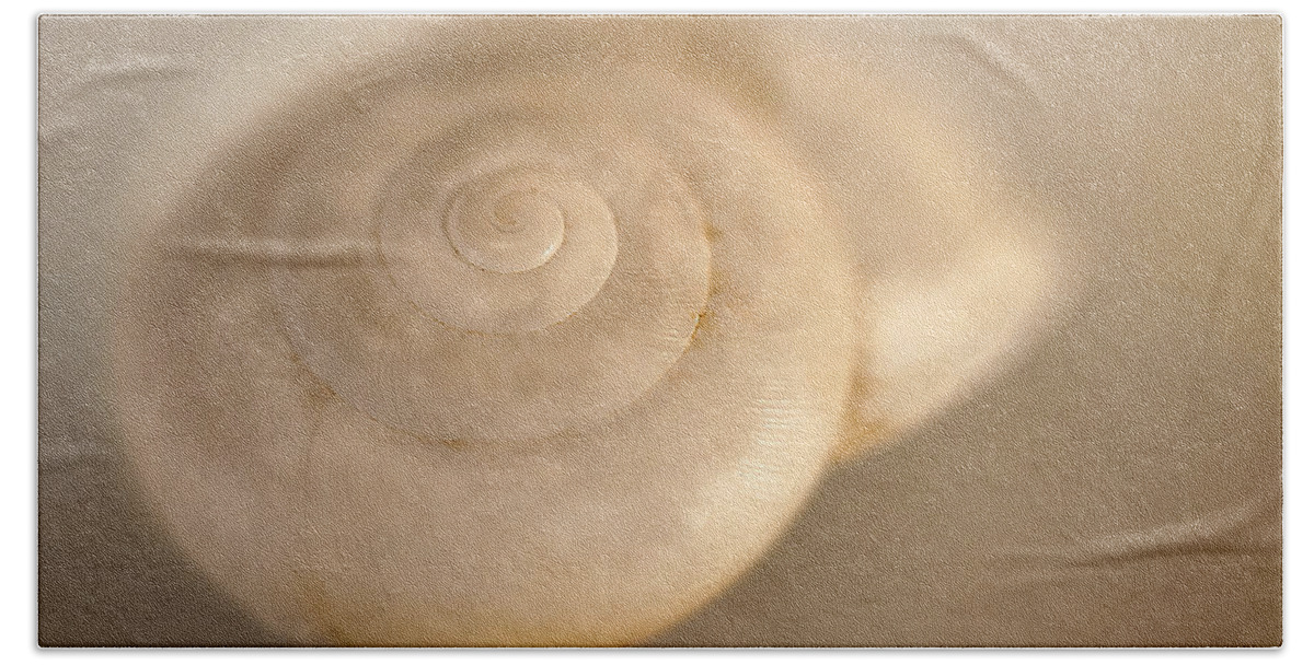 Shell Beach Towel featuring the photograph Spiral Shell 2 by Scott Norris