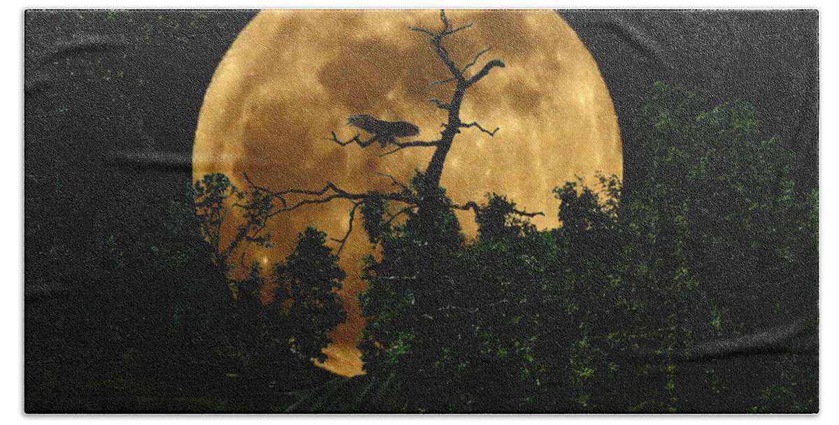 Moon Beach Sheet featuring the photograph Spooky Road by David Yocum