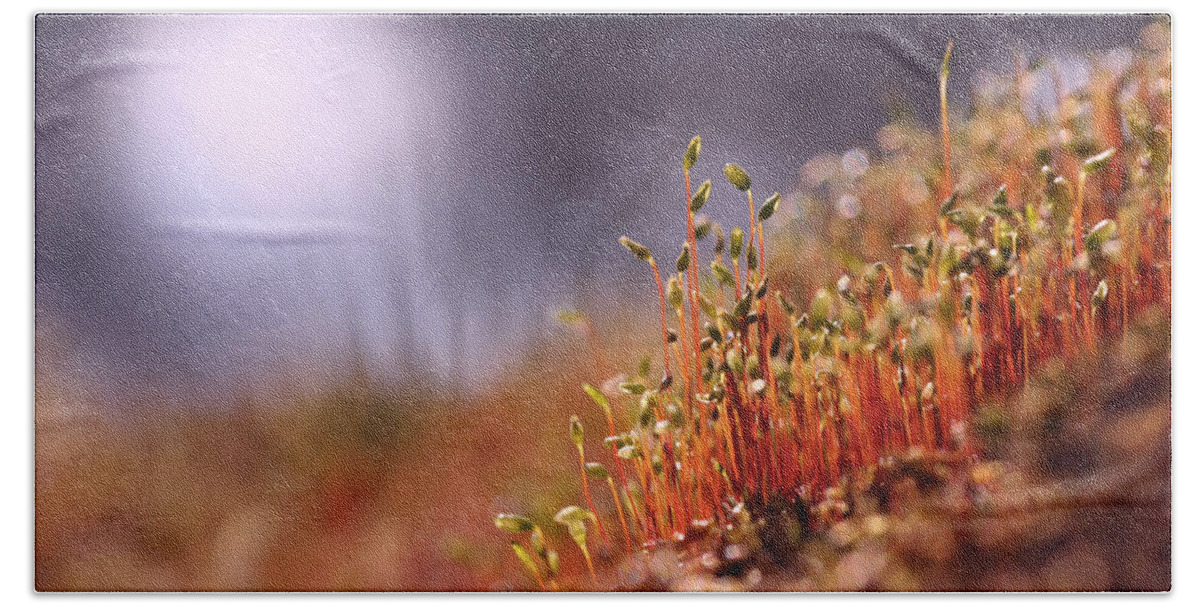 Bright Beach Towel featuring the photograph Sporophyte Colony by Dreamland Media