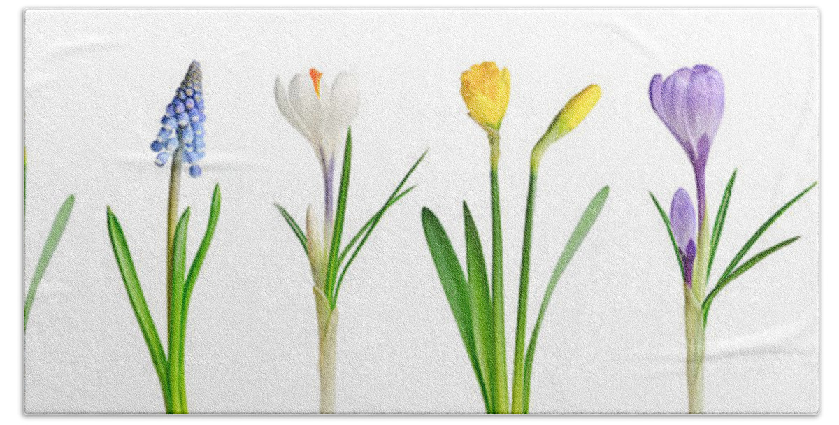 Flowers Beach Towel featuring the photograph Spring flowers 1 by Elena Elisseeva