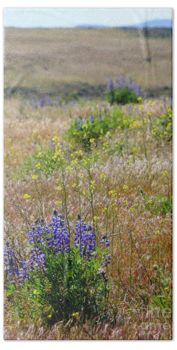 Lupines Beach Towel featuring the photograph Spring Lupines and Cheatgrass by Carol Groenen