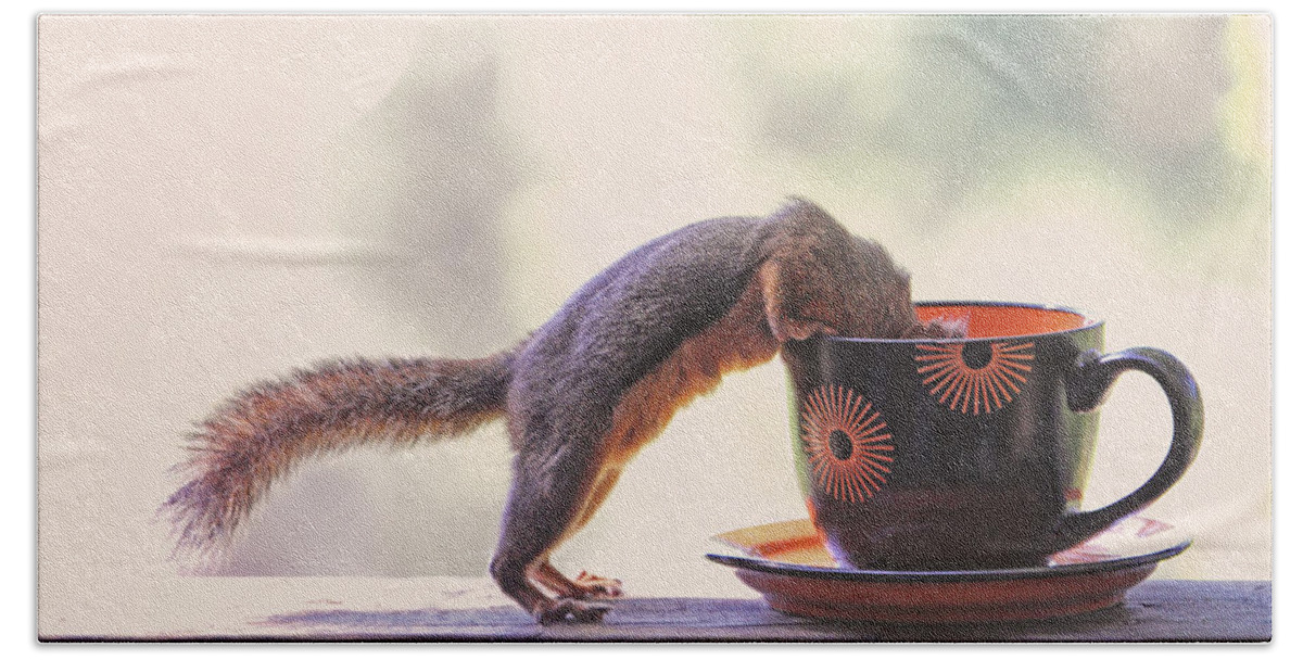 Squirrels Beach Towel featuring the photograph Squirrel and Coffee by Peggy Collins