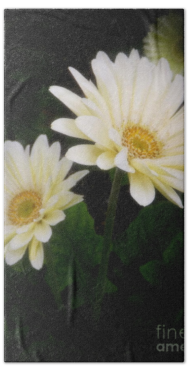 Botany Beach Towel featuring the photograph Stand By Me Gerber Daisy by Lingfai Leung