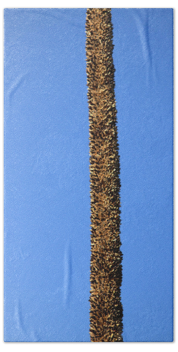 Grass Tree Beach Towel featuring the photograph Standing alone by Miroslava Jurcik