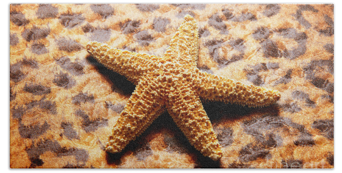Starfish Beach Towel featuring the photograph Starfish Enterprise by Andee Design