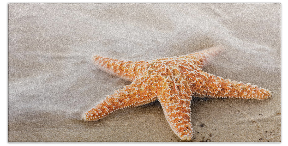 Beach Beach Towel featuring the photograph Starfish on the Beach by Bob Decker
