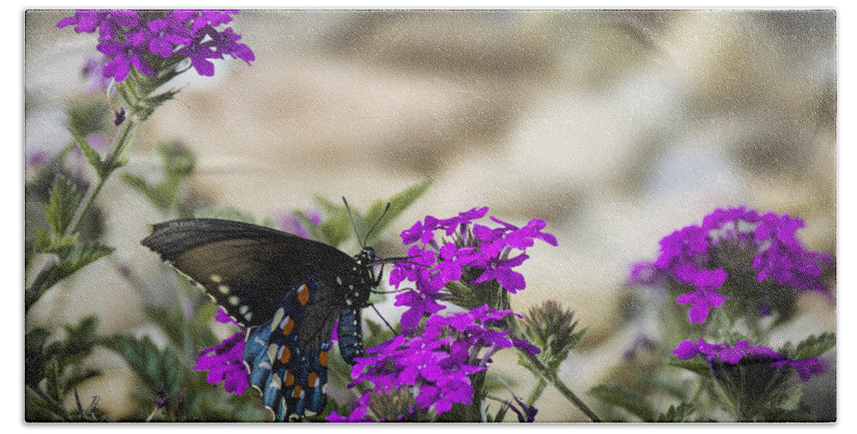 Pennysprints Beach Towel featuring the photograph Still Beautiful Swallowtail by Penny Lisowski
