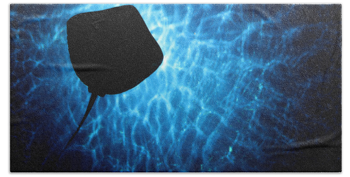 Stingray Beach Sheet featuring the photograph Stingray Silhouette by Donna Corless