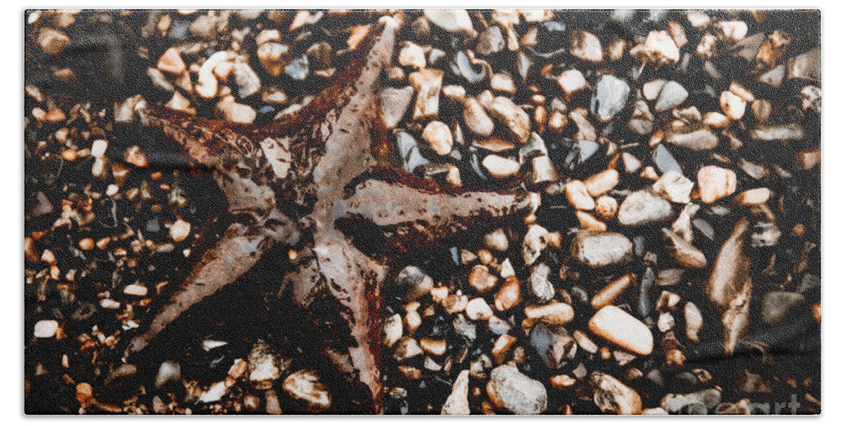 Beauty In Nature Beach Towel featuring the photograph Stranded Sea Star by Venetta Archer