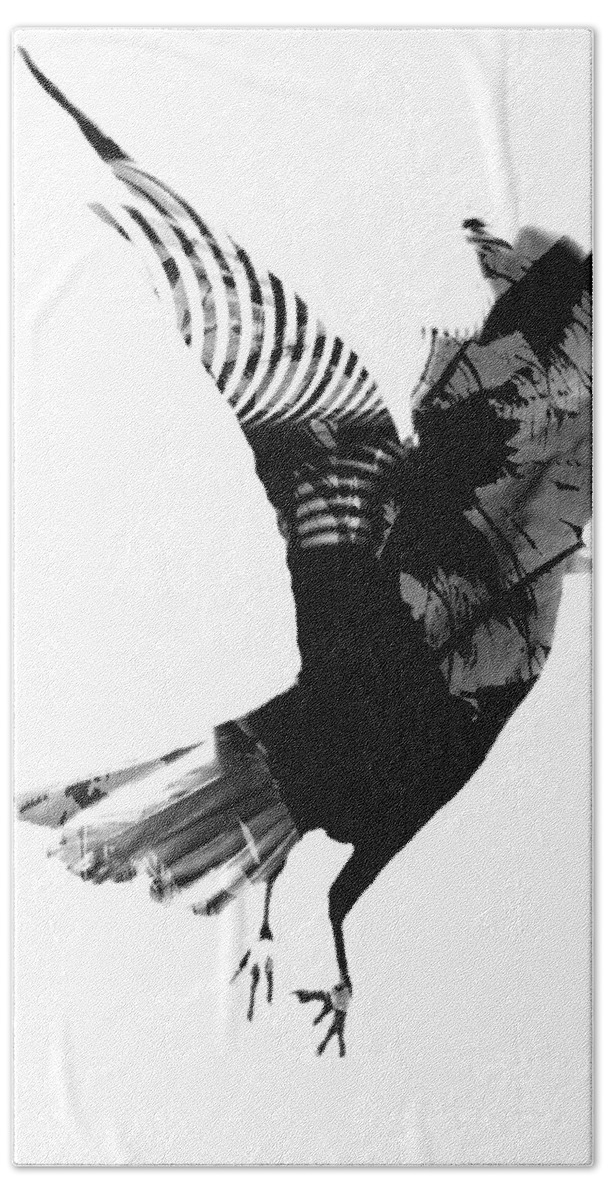Crow Beach Towel featuring the photograph Street Crow by J C